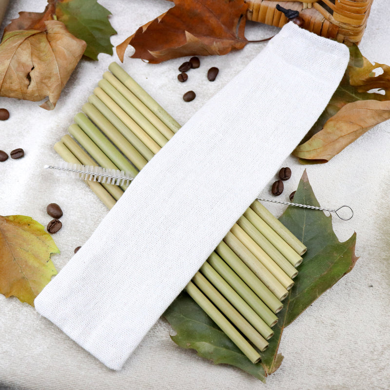 Herbruikbare Eco-Vriendelijke Bamboe Rietjes 10-pack