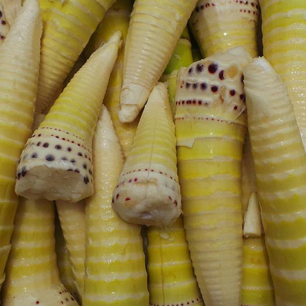 Tip van Bamboeddha: geroerbakte bamboescheuten met verse groenten