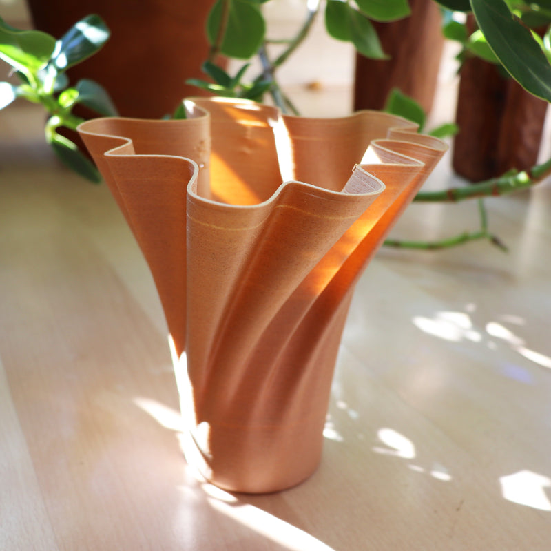 Vase 3D Geprinte Organische Design Vaas